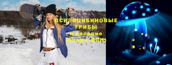 PSILOCYBIN Медногорск