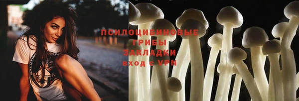 PSILOCYBIN Медногорск