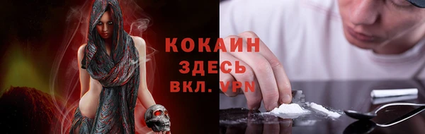 PSILOCYBIN Медногорск