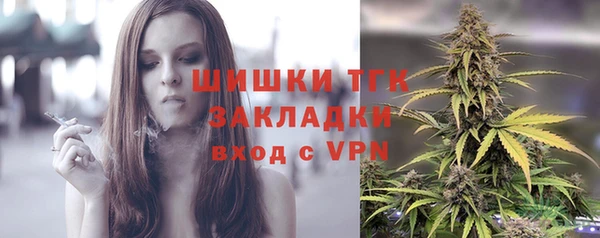 дмт Мегион