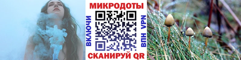 сколько стоит  Сорочинск  МЕГА ТОР  Псилоцибиновые грибы ЛСД 