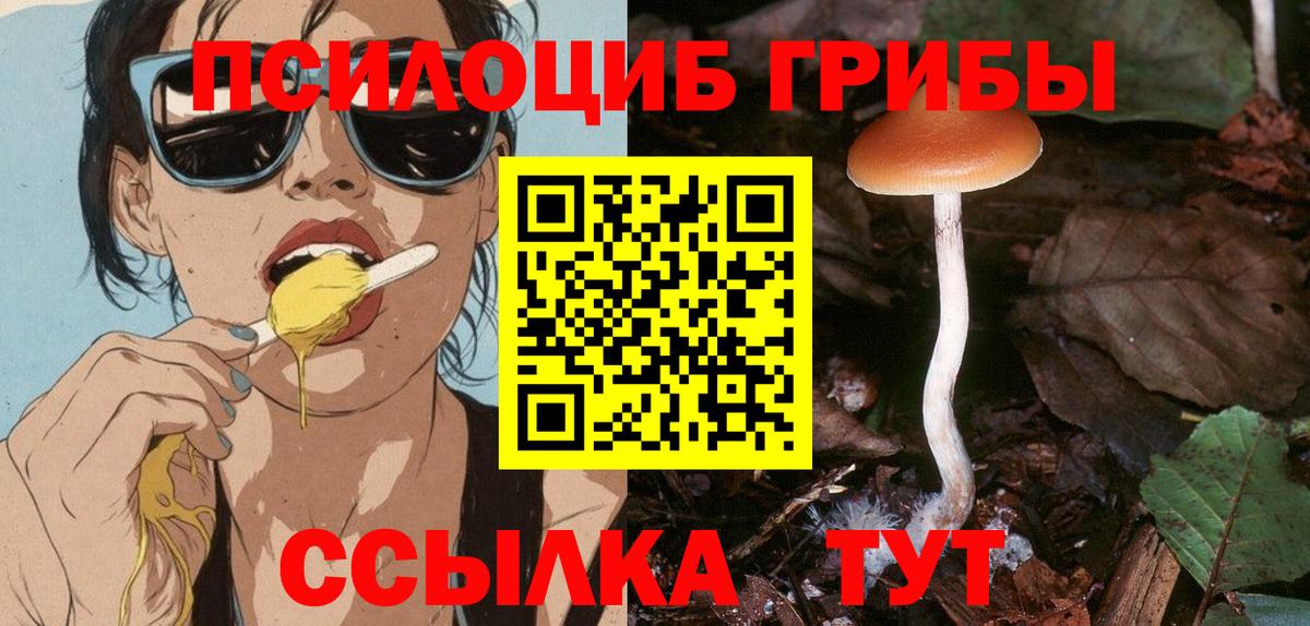 Псилоцибиновые грибы Psilocybe Сорочинск