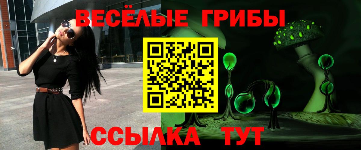 Псилоцибиновые грибы Cubensis  Вход с VPN  Сорочинск  Галлюциногенные грибы Magic Shrooms 